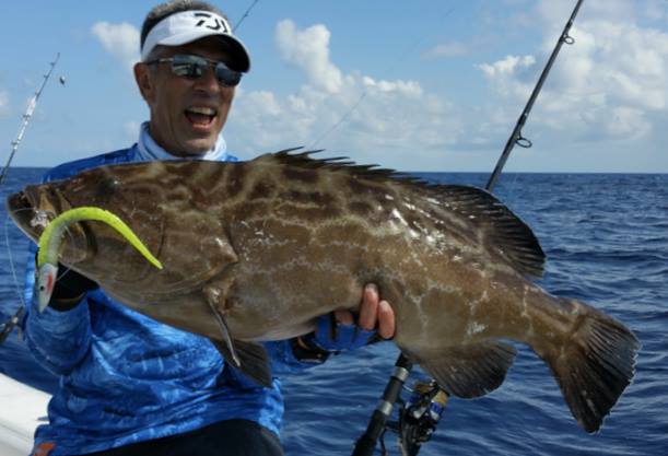 Pro Talk: Best Jigs for Grouper Fishing – Hogy Lure Company Online