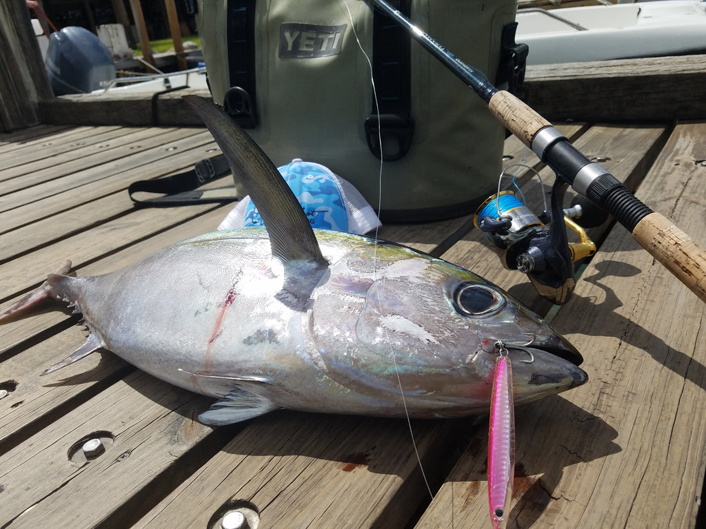 The Top 10 Best Bluefish Lures - My Fishing Cape Cod