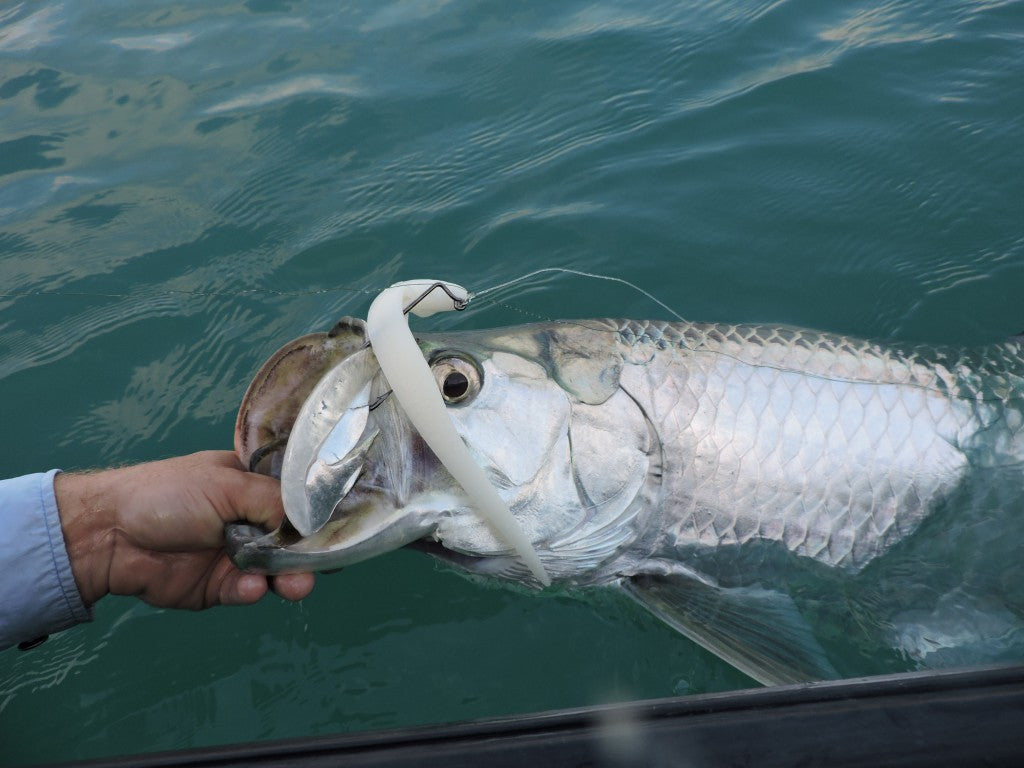 Pro Talk: Lures for Targeting Tarpon in Open Deep Water – Hogy Lure Company  Online Shop