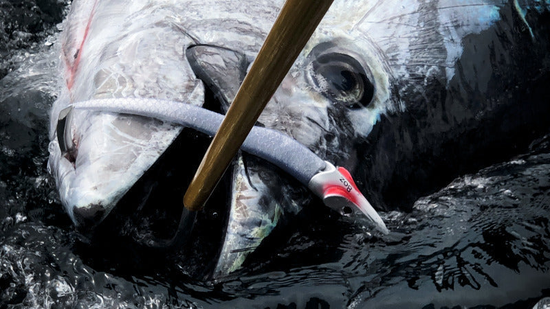 Cracking The Code: Bottom Grubbing Giant Bluefin Tuna