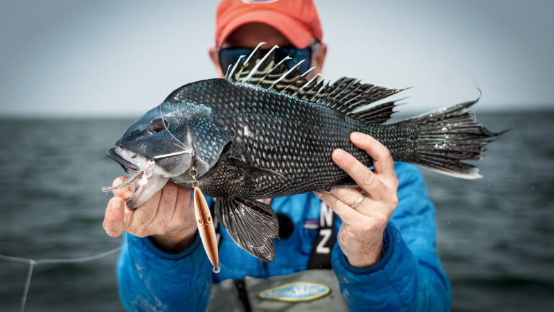 Cracking The Code: Seabass Three Ways