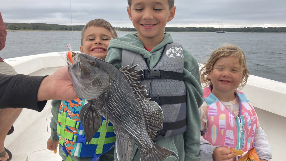 How to Catch Sea Bass at Slack Tide | Hogy Lures