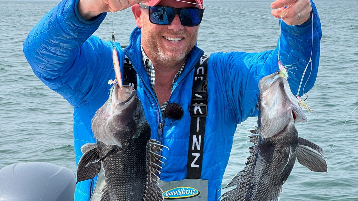 How to Jig Sea Bass on Deep Wrecks & Boulders | Hogy Lures