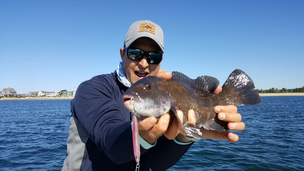 How to Jig for Tautog Without Bait | Hogy Lures