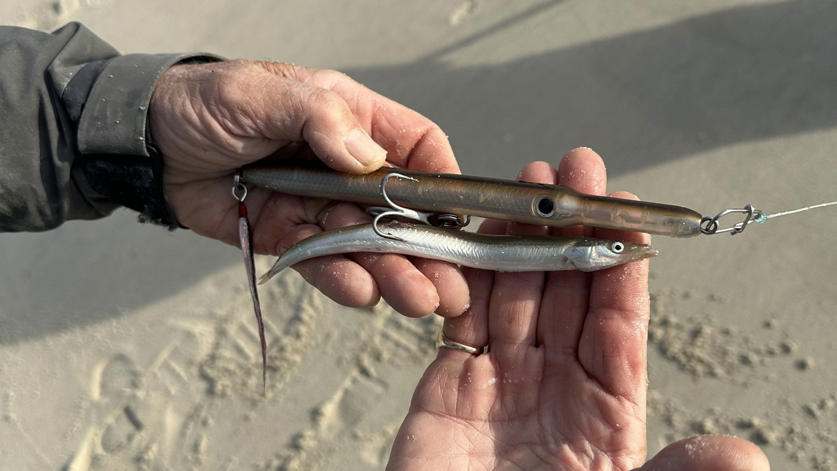 Capt. Mike's Guide to the Needle: Open Beach, Sand Eels, Long Casts Into the Wind