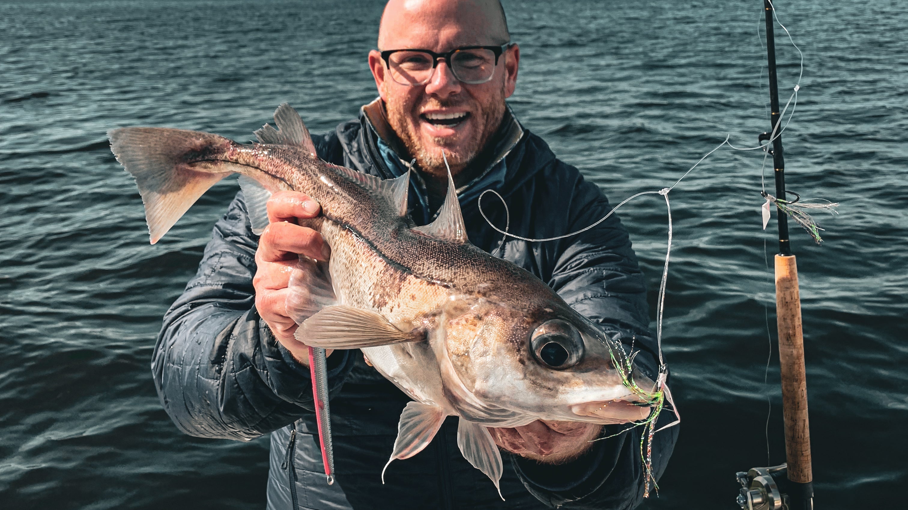 Cracking The Code: Spring Haddock & Cod Stellwagen Bank