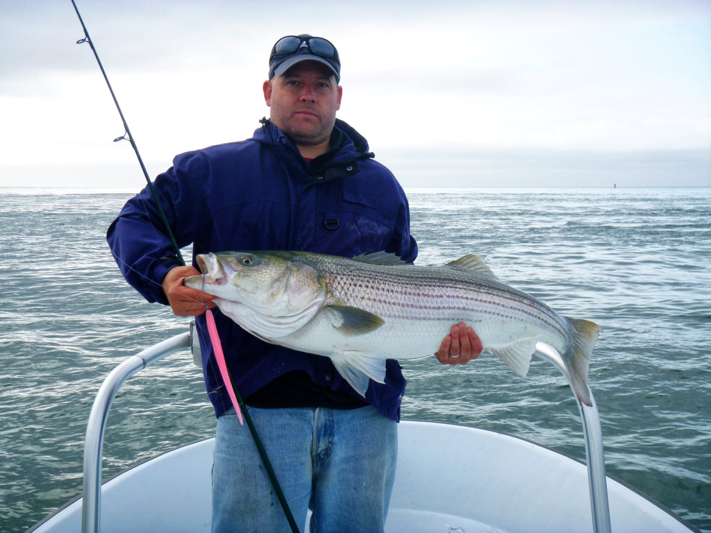 Q&A: Best Lures for LI Sound Striper Jigging and Trolling – Hogy Lure  Company Online Shop