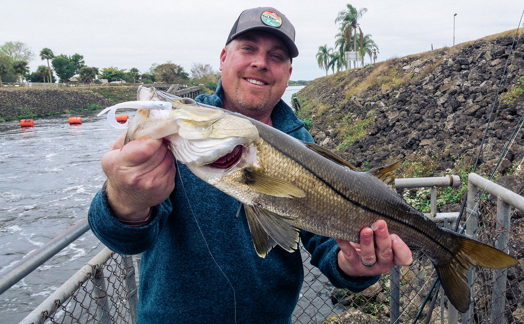 How To: Lures and Techniques For Spillway Snook – Hogy Lure Company Online  Shop