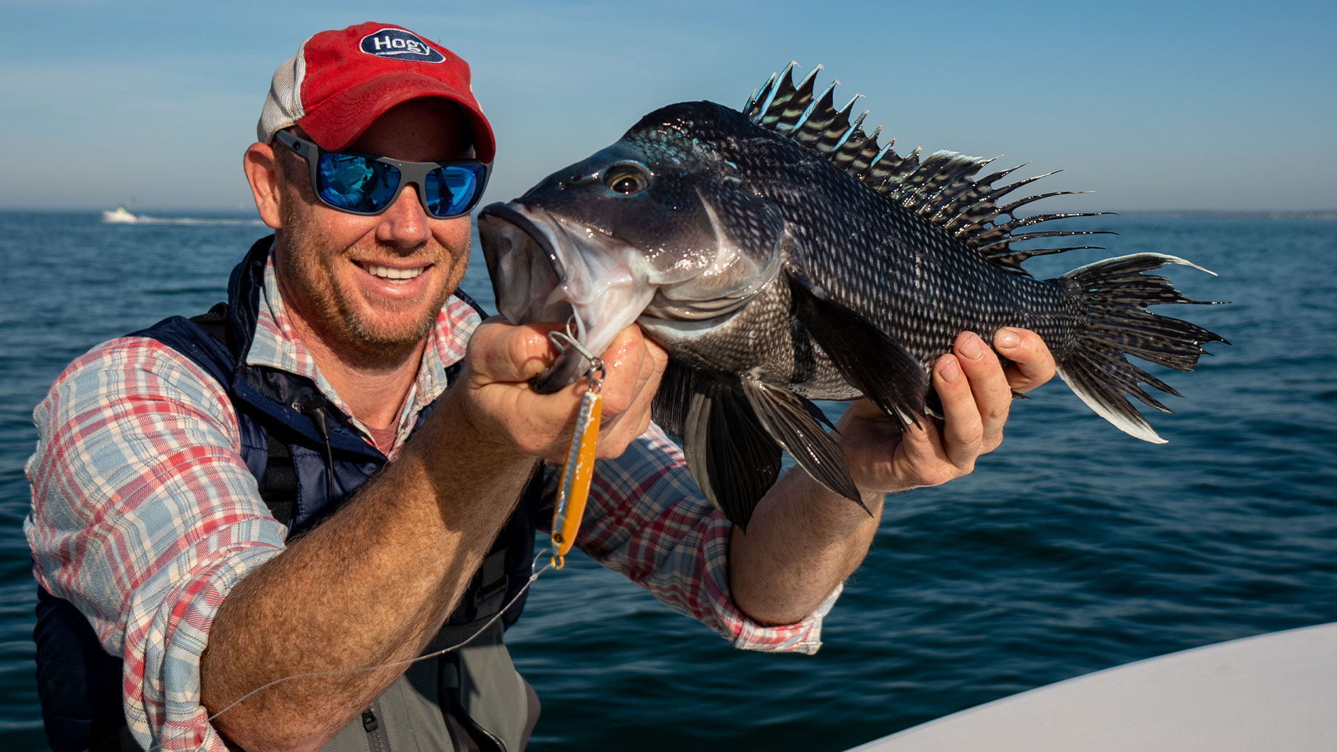 Black Seabass: Buzzards Bay Rock Piles