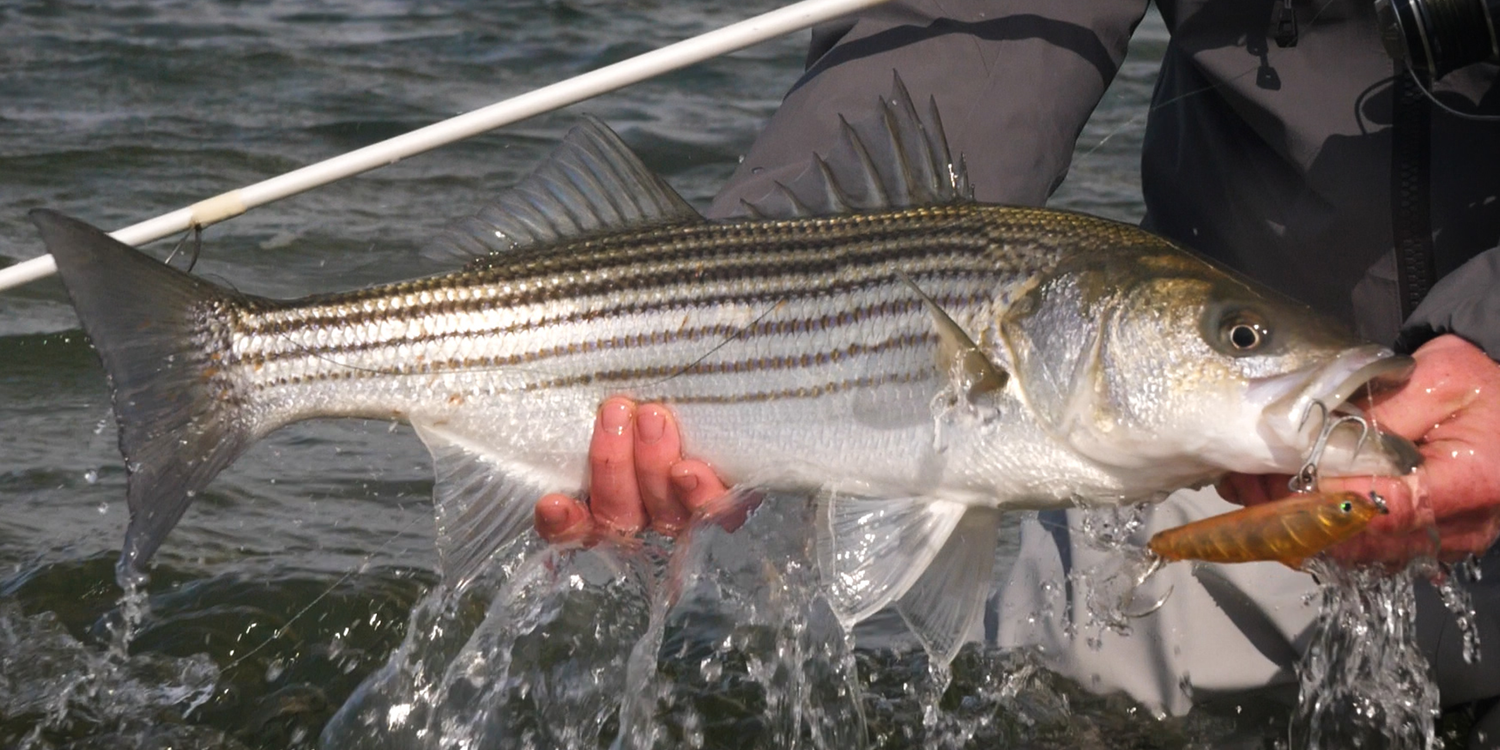 When to use a Slider vs. SP-Style Plug