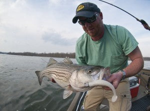 How To: Top Three Trolling Lures for Spring Stripers – Hogy Lure
