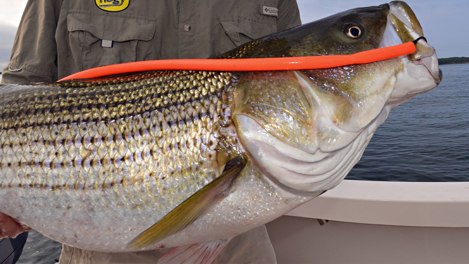 The Art of Light Tackle Tube-and-Worm Fishing