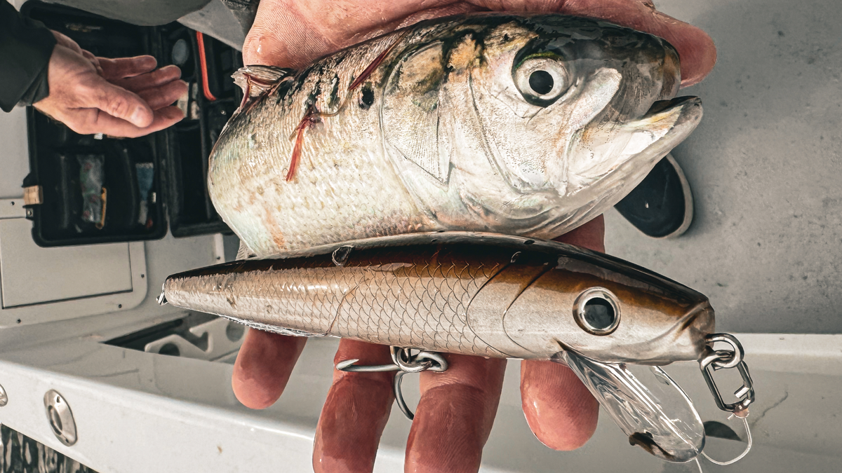 Capt. Mike's Guide to Fall Plugs and Big Bass in Boulder Fields
