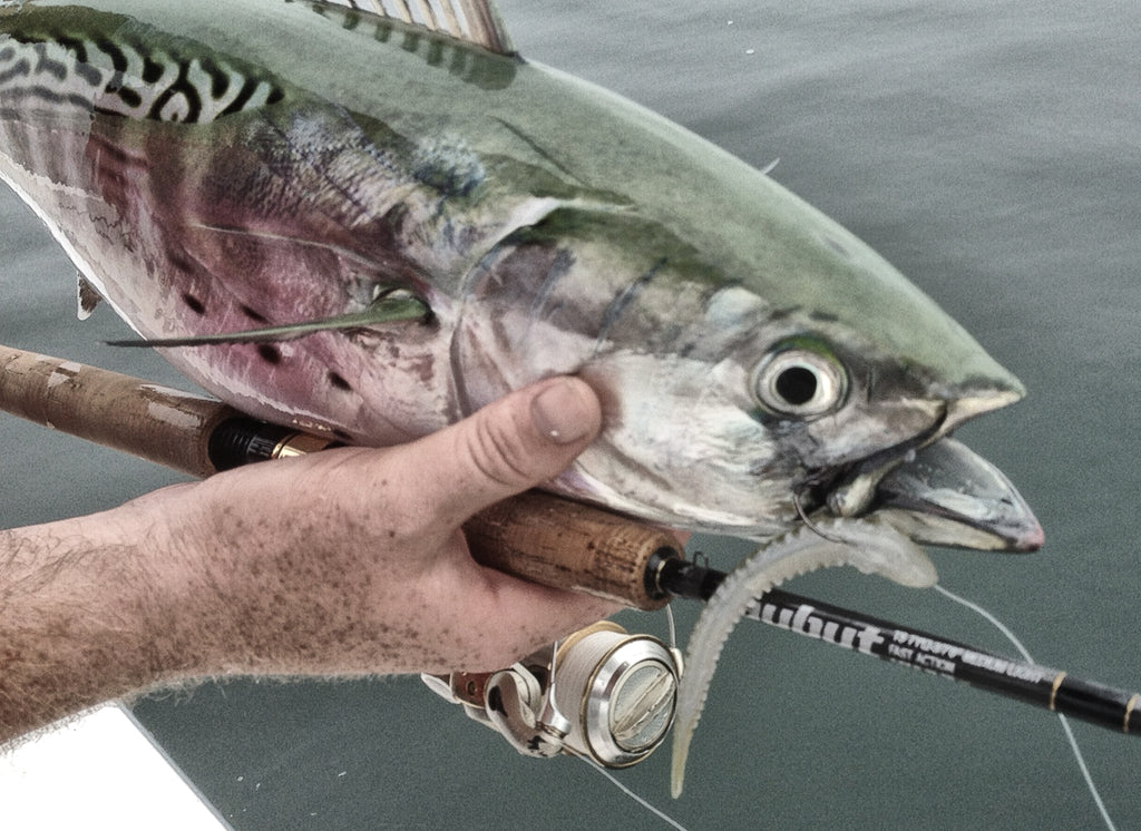 The best lures for albie fishing in the waters around Cape Cod