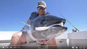 Casting Swimbaits for Bluefin Tuna