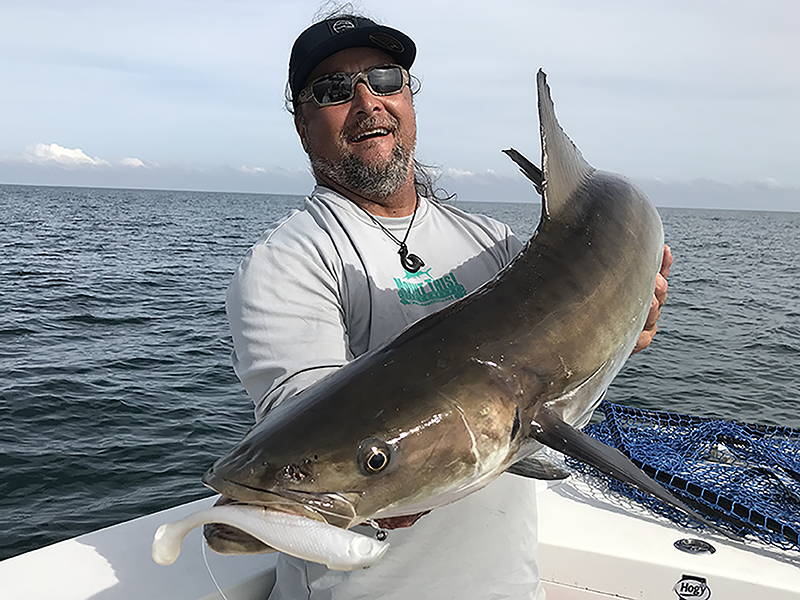Ten Tips For Casting To Cobia On Manta Rays – Hogy Lure Company Online Shop
