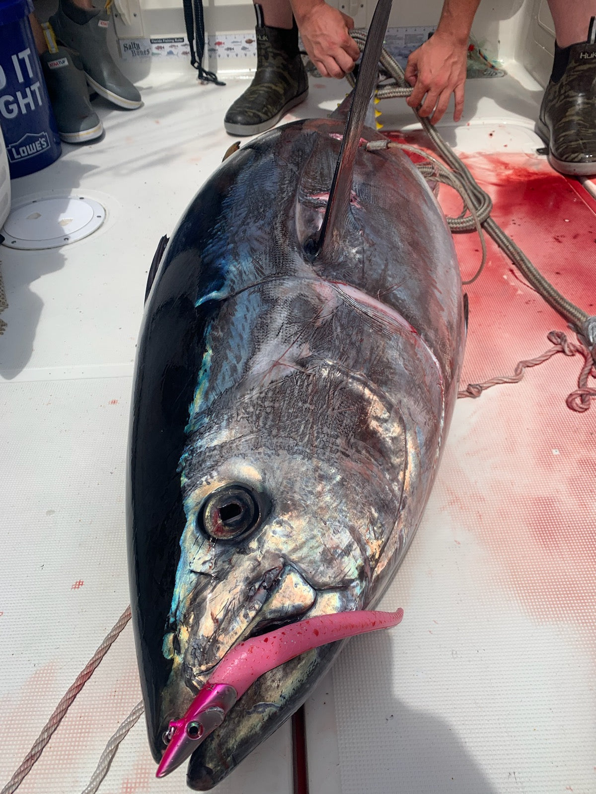 Casting & Jigging Lures For California Bluefin | Coastal & Long Range Trips