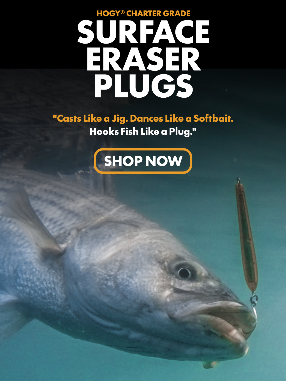 Hogy Surface Eraser Casting Plug Lure