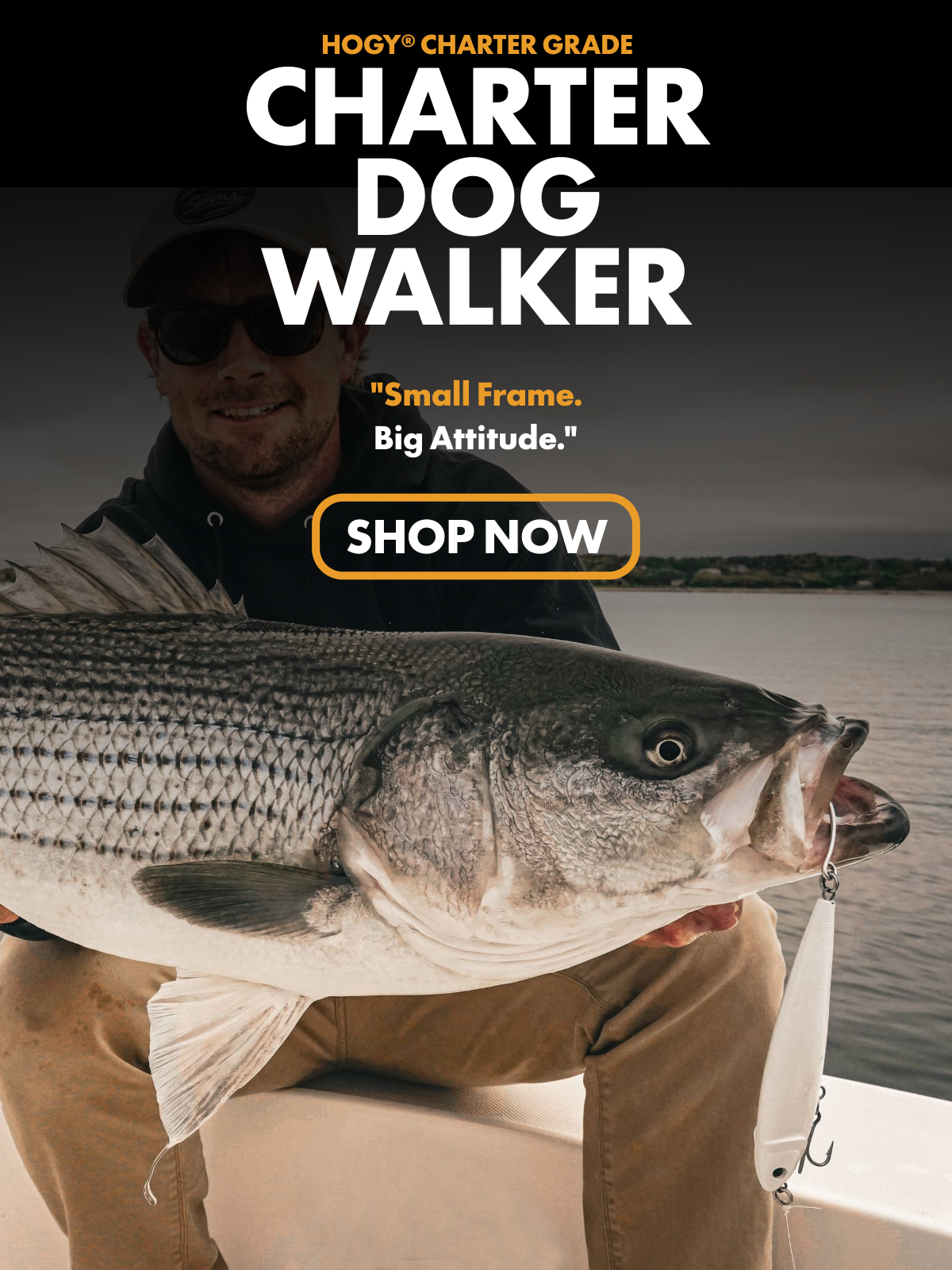 Hogy Charter Dog Walker Topwater Lure