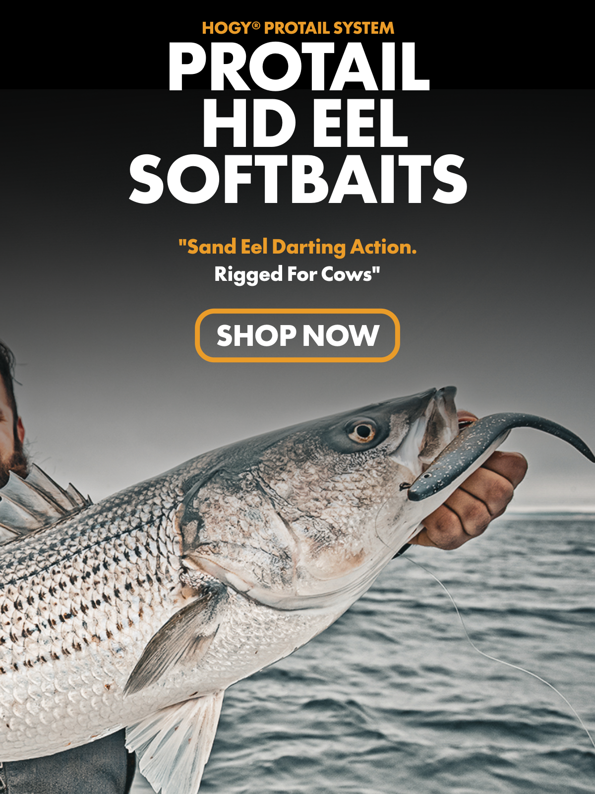 Hogy Protail Eel Swimbait Fishing Lure