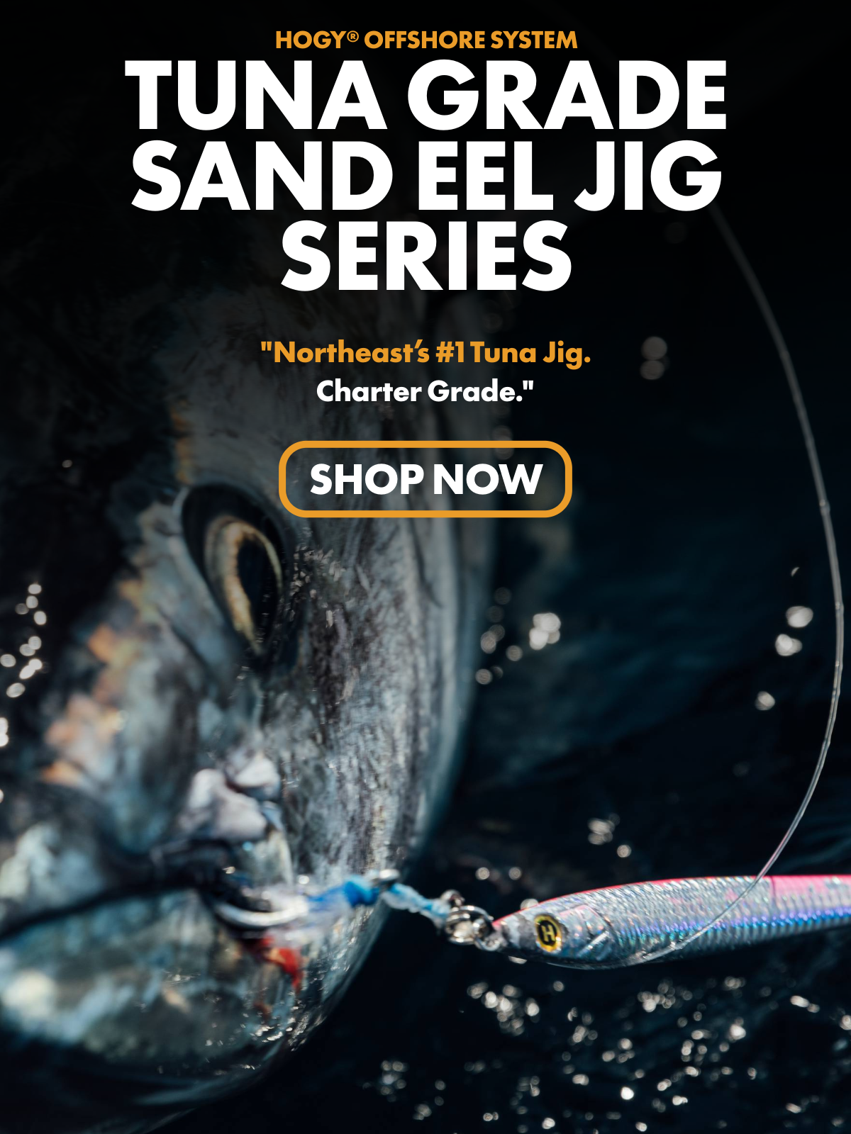 Hogy Tuna Sand Eel Metal Jigging Lure
