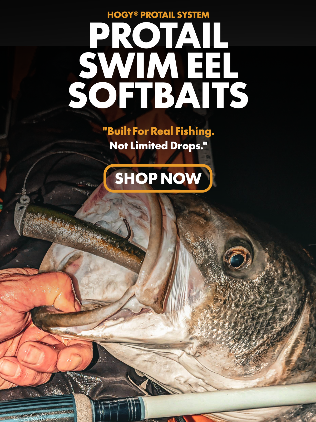 Protail Swim Eels