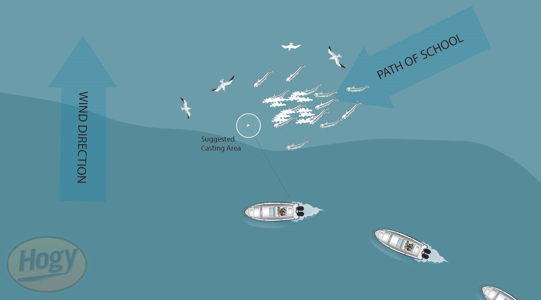 Striper Surface Blitz