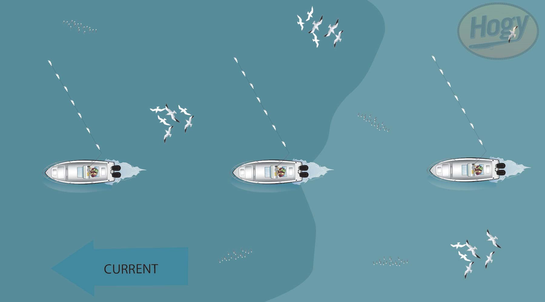 Striper Blind Casting