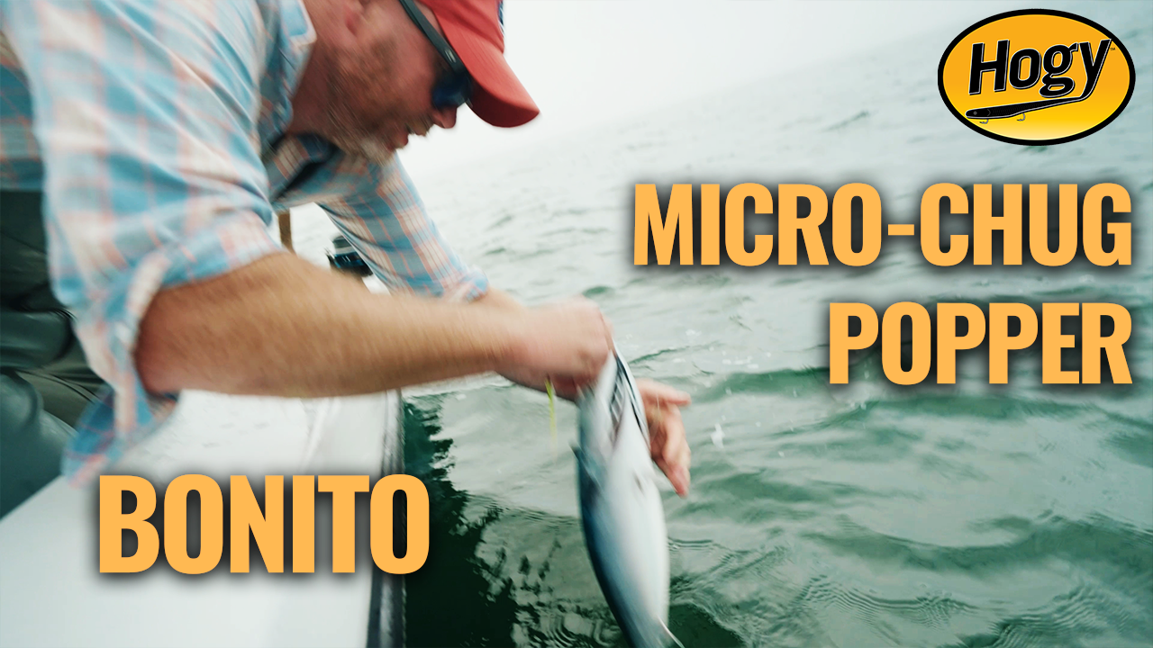 How to Fish a Chug Popper for Bonito