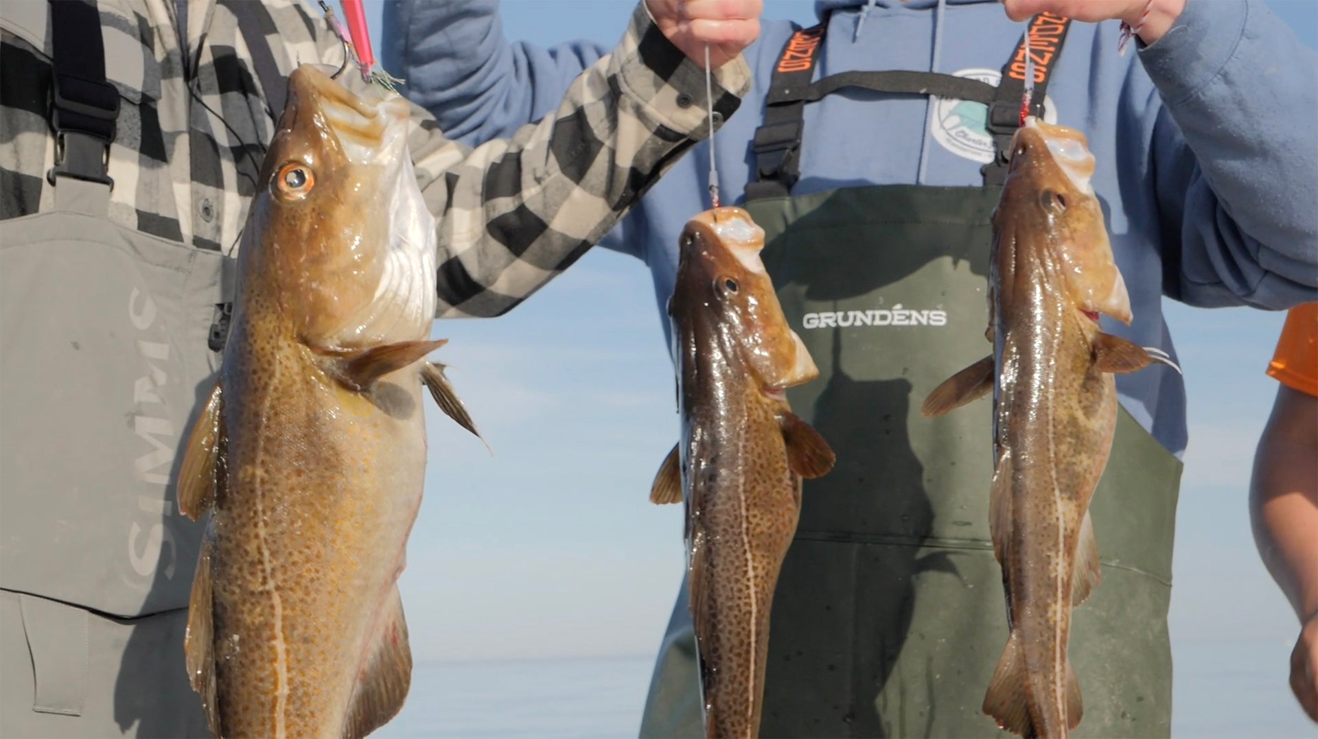Cod & Haddock Slow Pitch Jigging