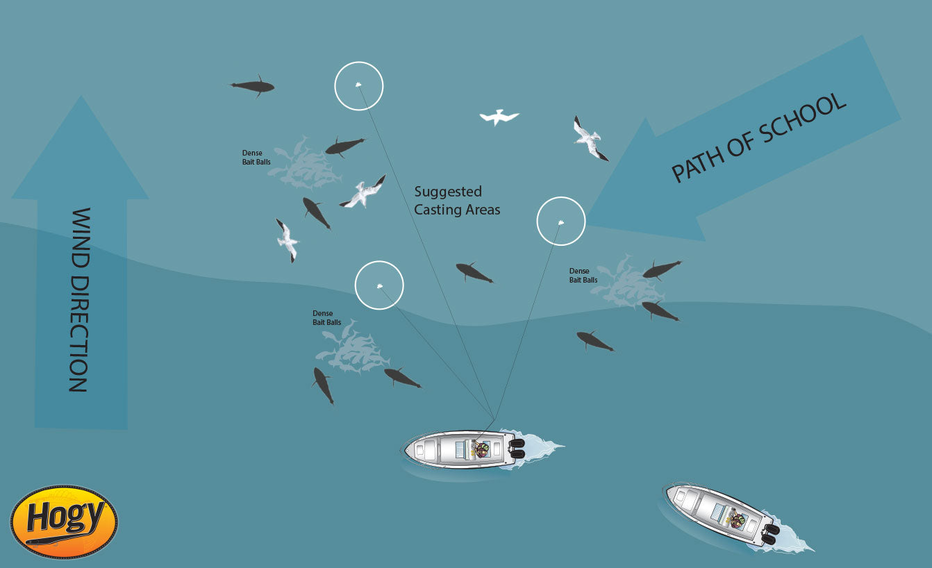 Casting To Stripers On Bunker