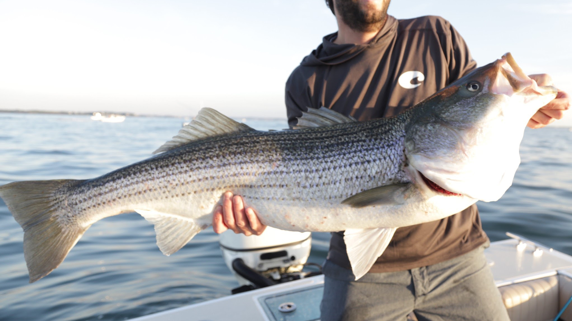 Video: Casting & Jigging Striped Bass At Monomoy Shoals