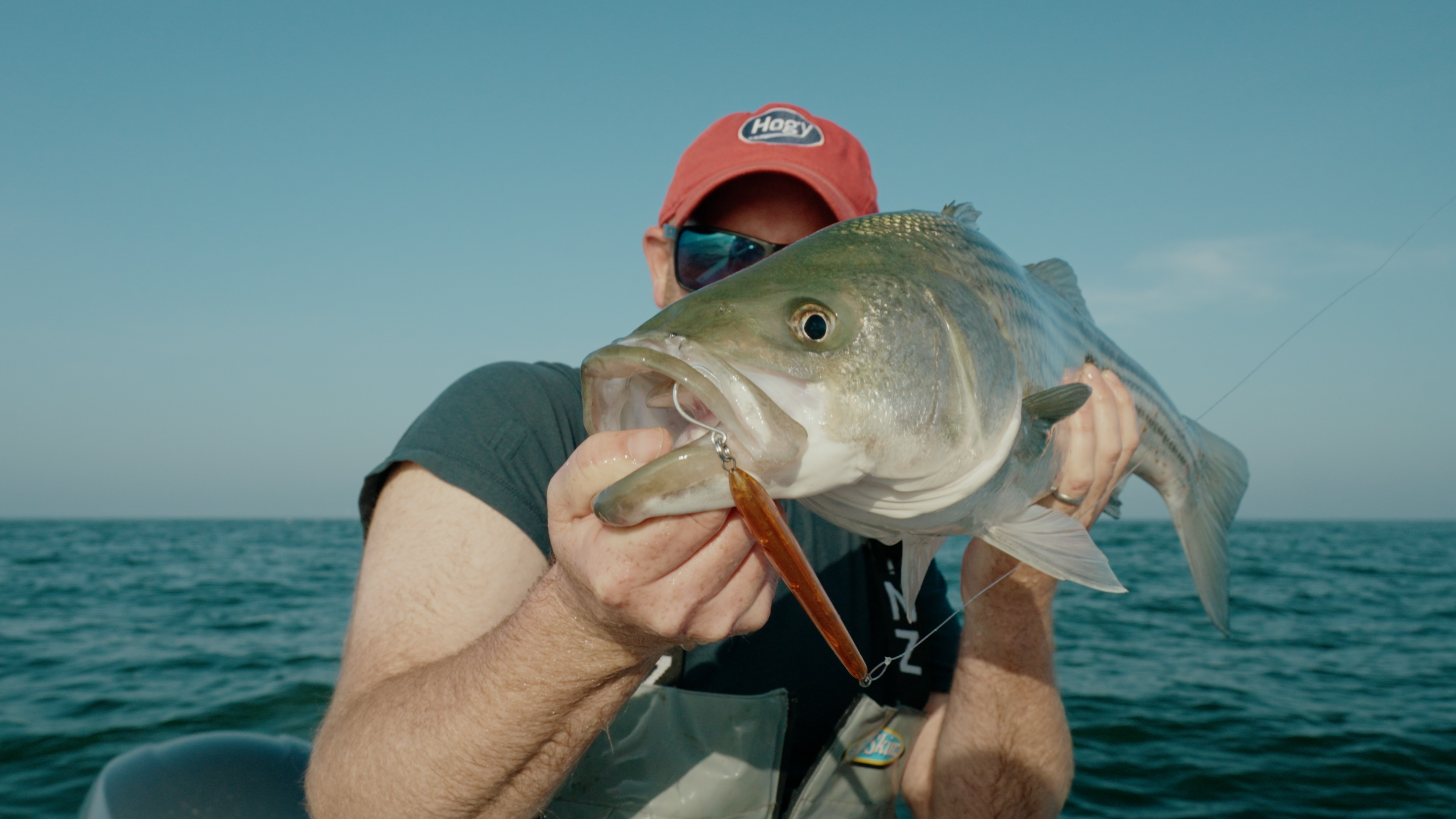 Catching Bass Keyed In On Tiny Squid