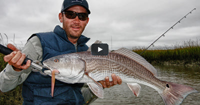 Video: Charleston Redfish