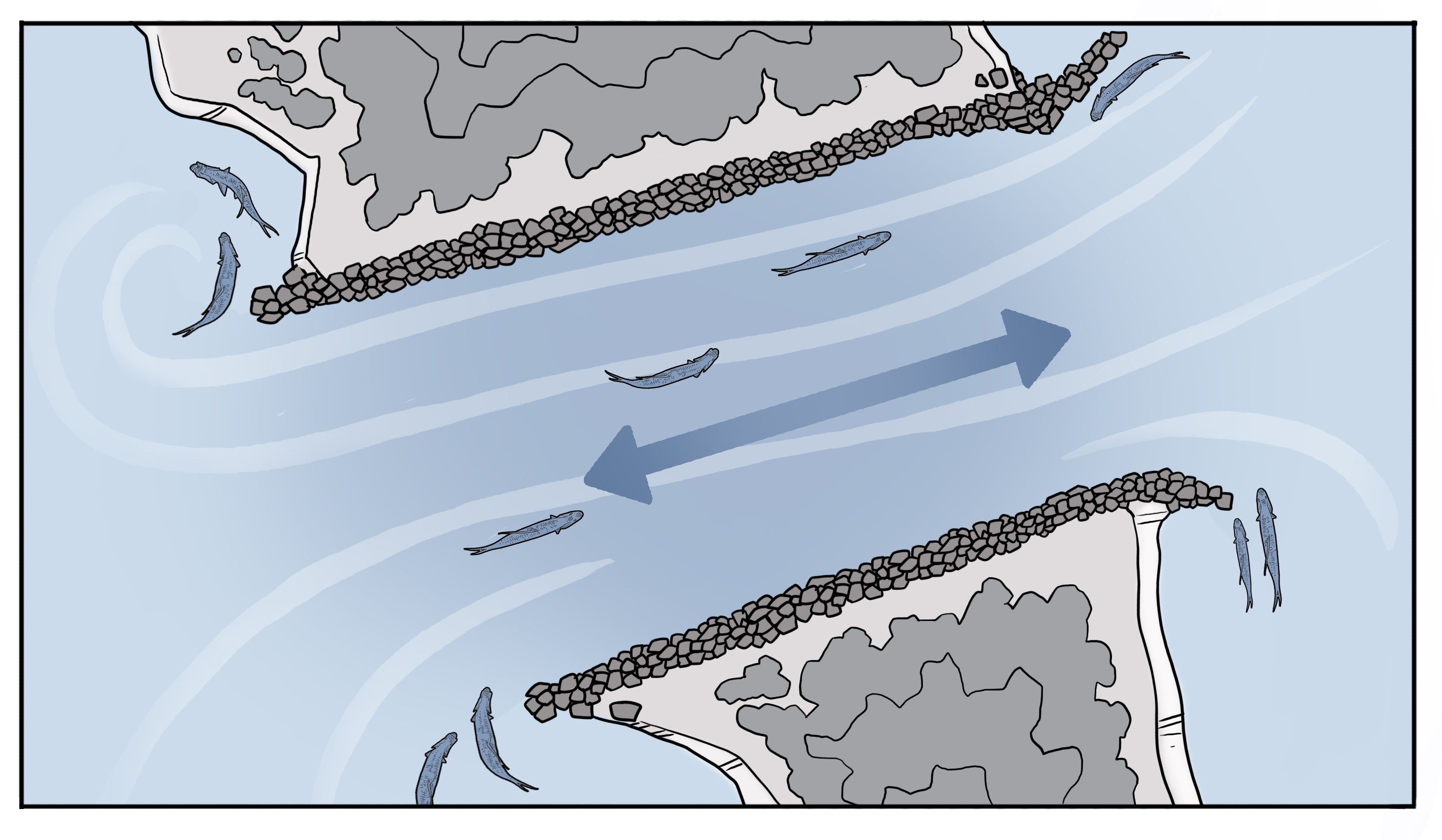 Tarpon Fishing Inlets and Passes