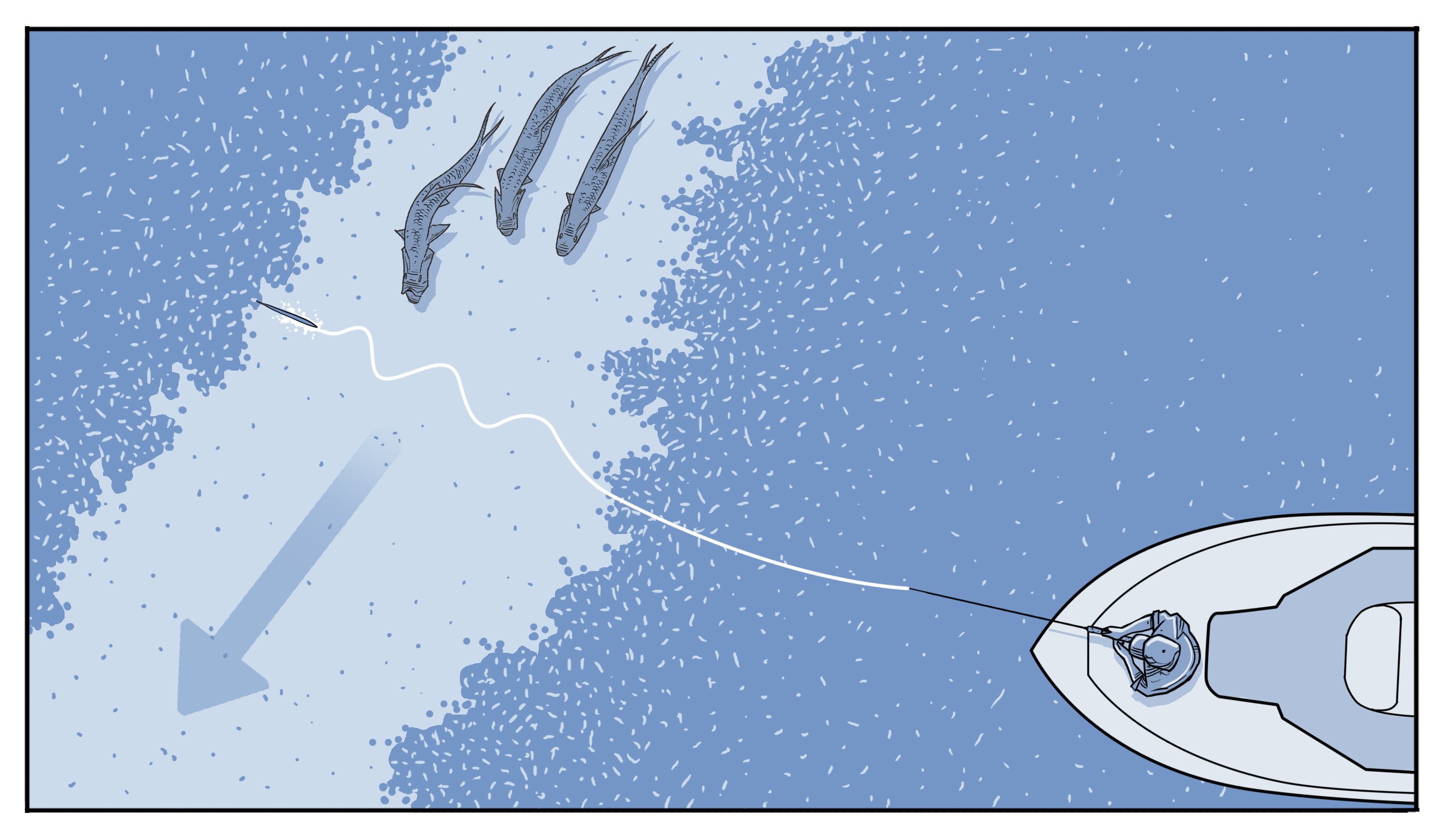 Tarpon Fishing Shallow Flats & Bays