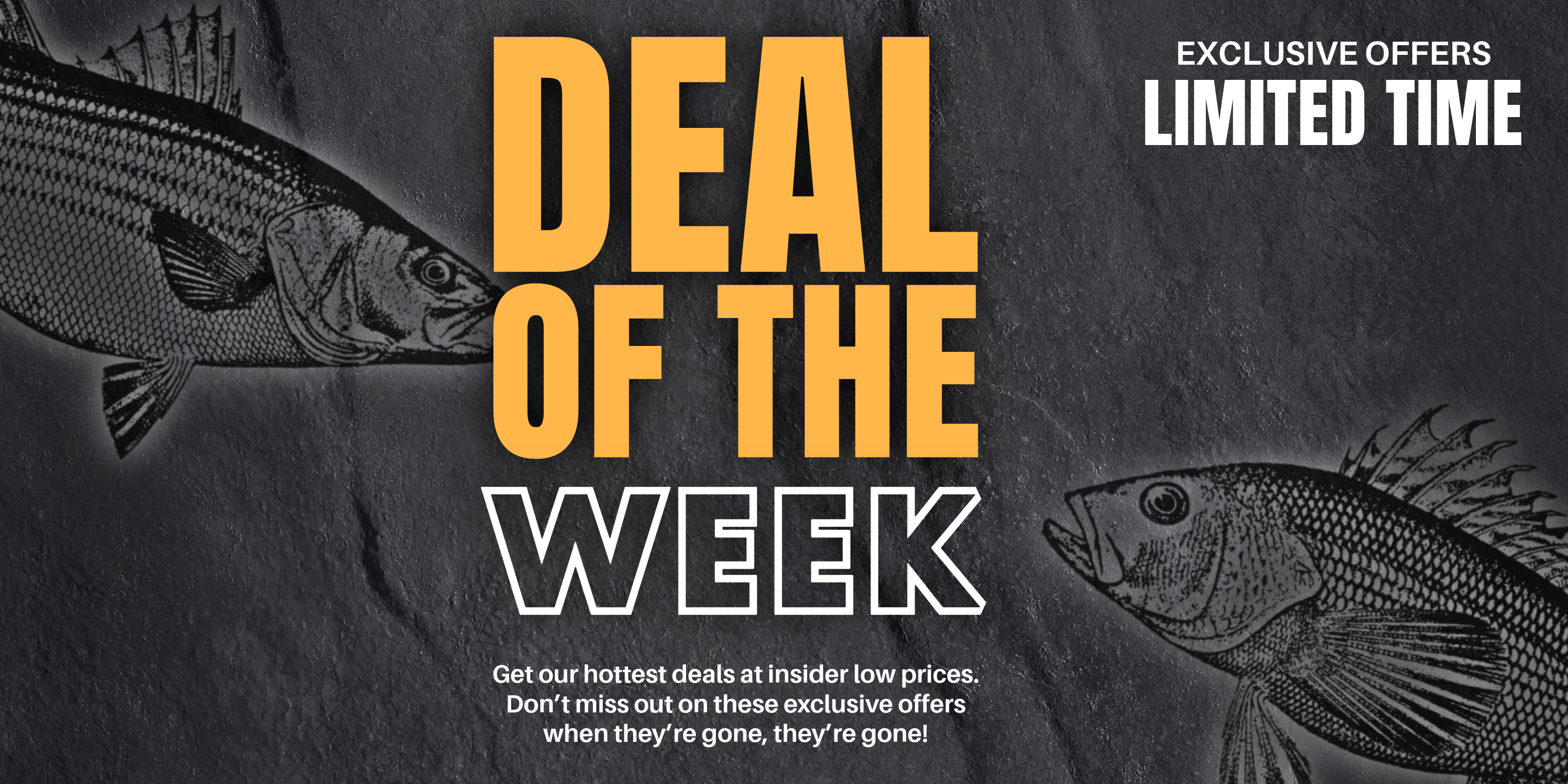 Deal Of The Week: Limited Time Offers!