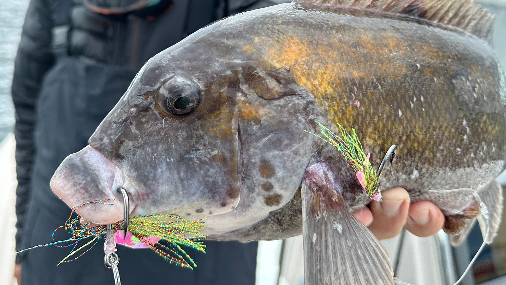 How To: Utility Bait Rig Tog Fishing