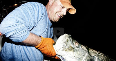 How To: Tarpon Fishing At Night With Big Swimbaits
