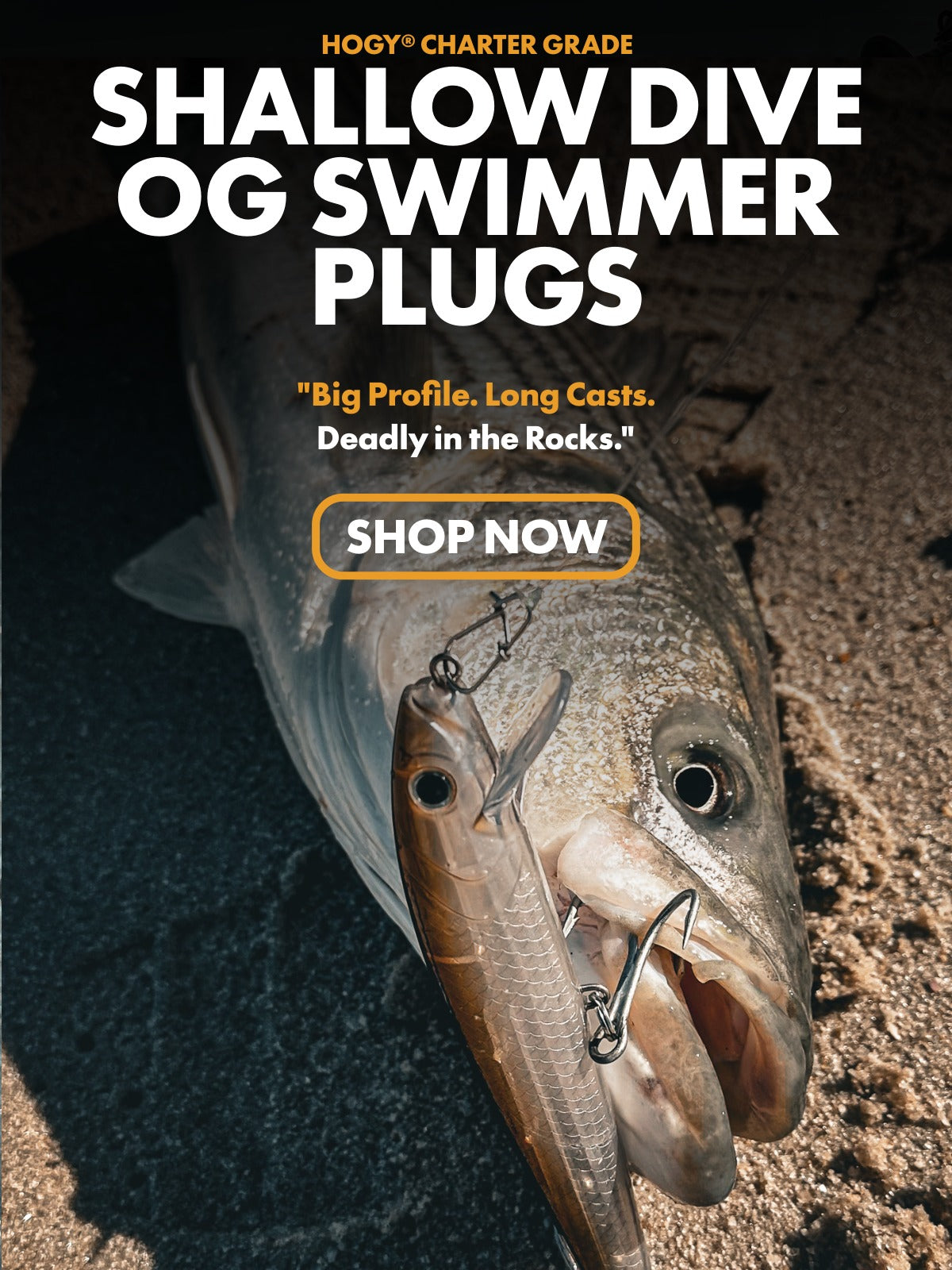 Hogy OG Shallow Swimming Plug Lure
