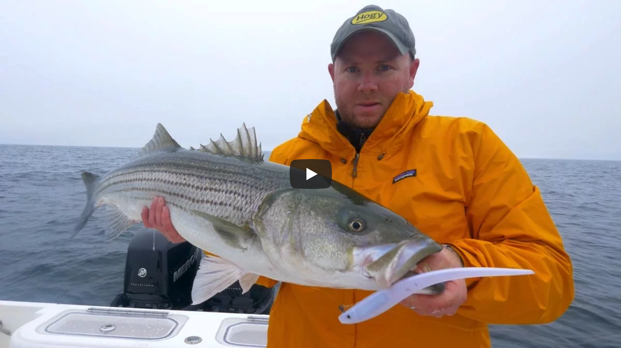 Video: Cape Cod Pro Tail Stripers