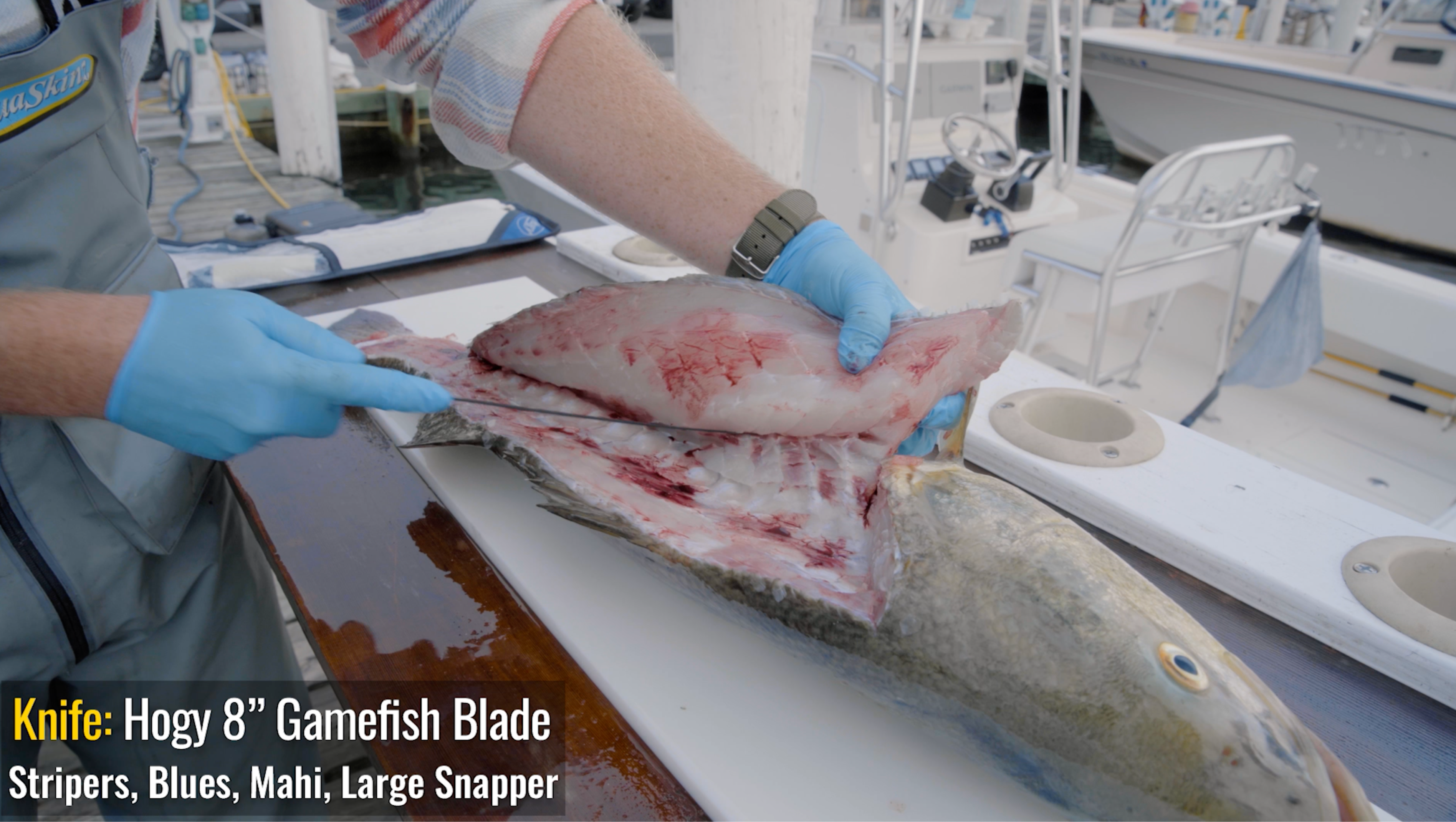 How To: Fillet a Striped Bass