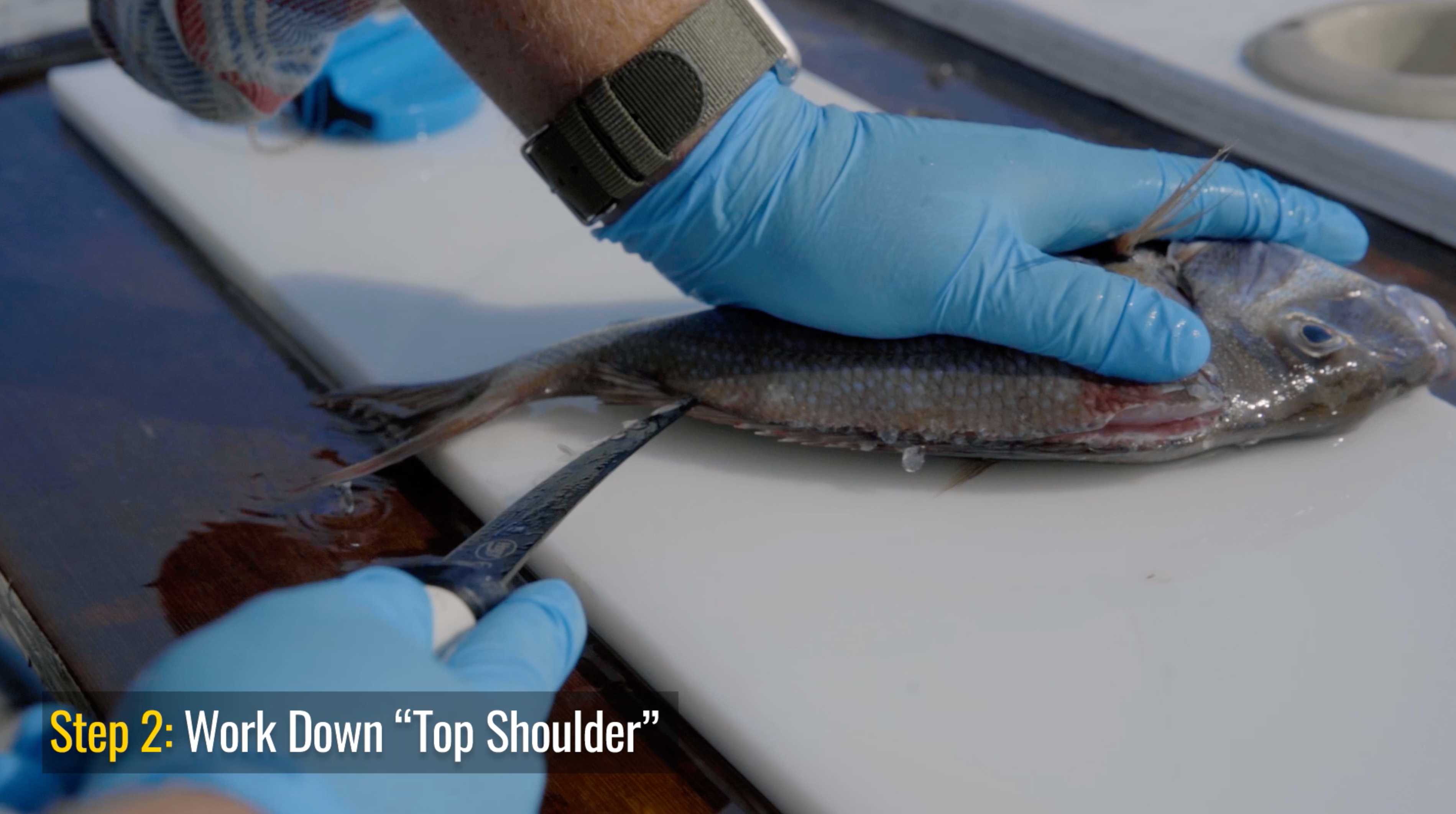 How To: Fillet a Scup