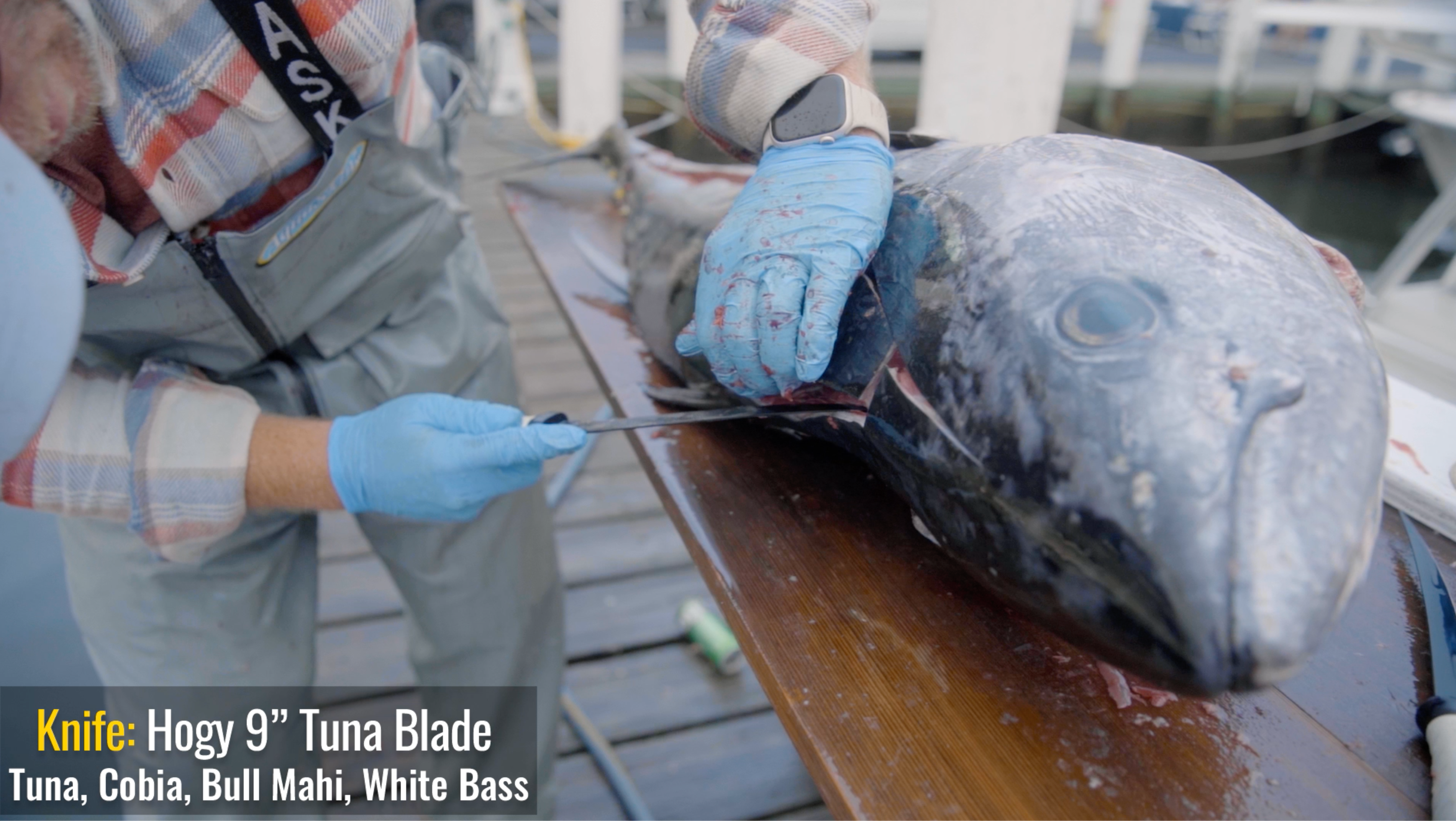 How To: Fillet a Bluefin Tuna