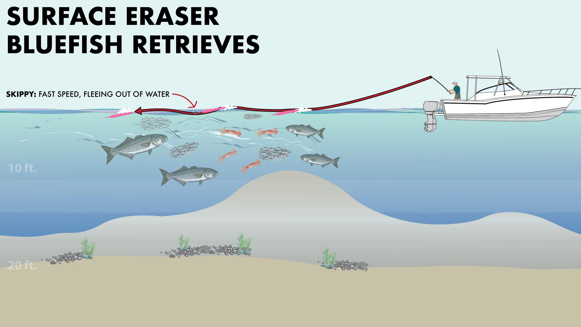 Topwater Fishing for Bluefish | Hogy Surface Eraser