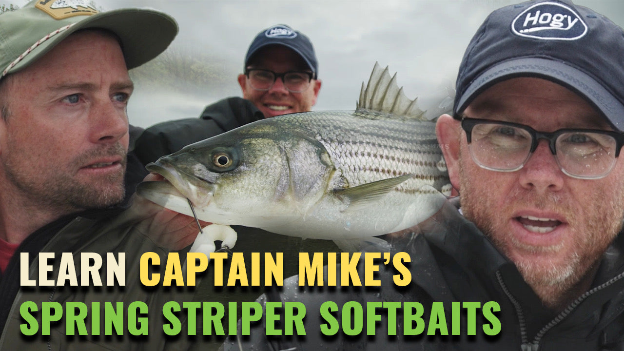 How Charter Captains Target Spring Striped Bass in Open Water