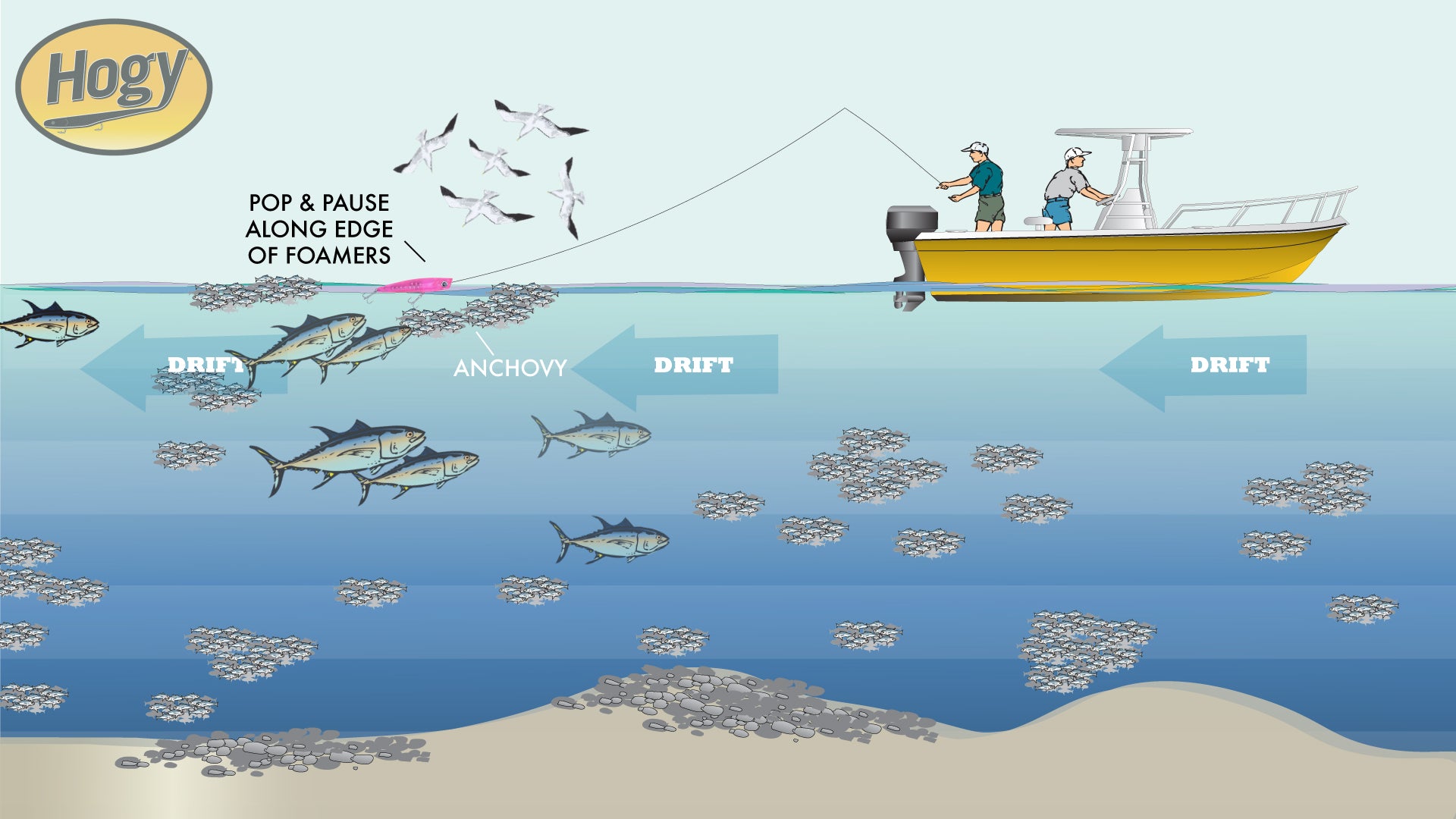How To Fish Poppers For Bluefin Tuna