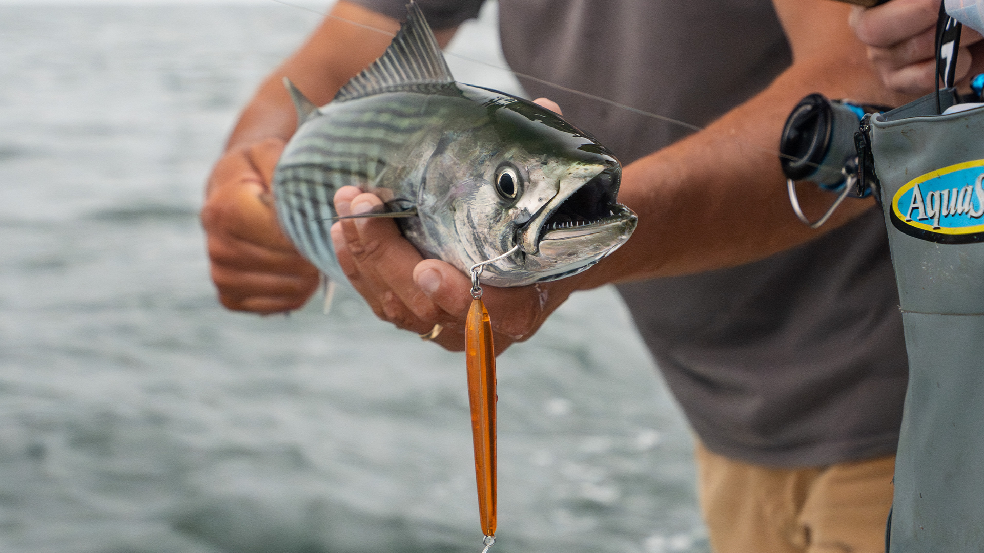 Topwater Bonito | Fishing Fast and Slow