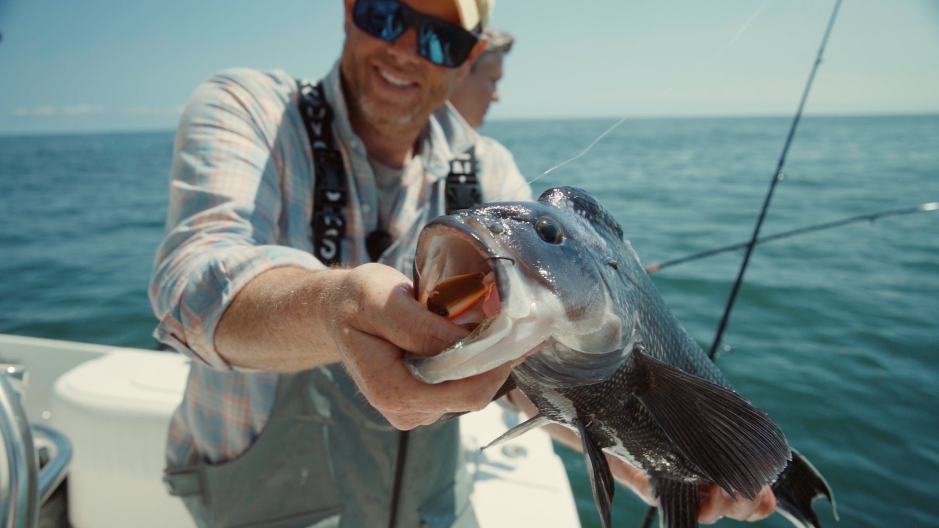 Combo Trip | Jig Seabass | Topwater Stripers