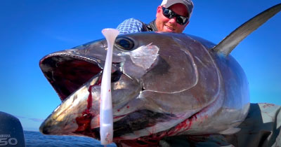 November Bluefin Tuna on the Outer Cape